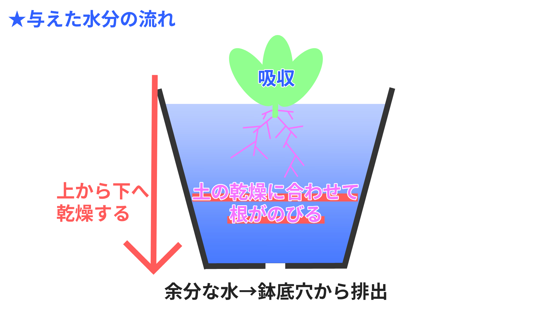 水の流れ