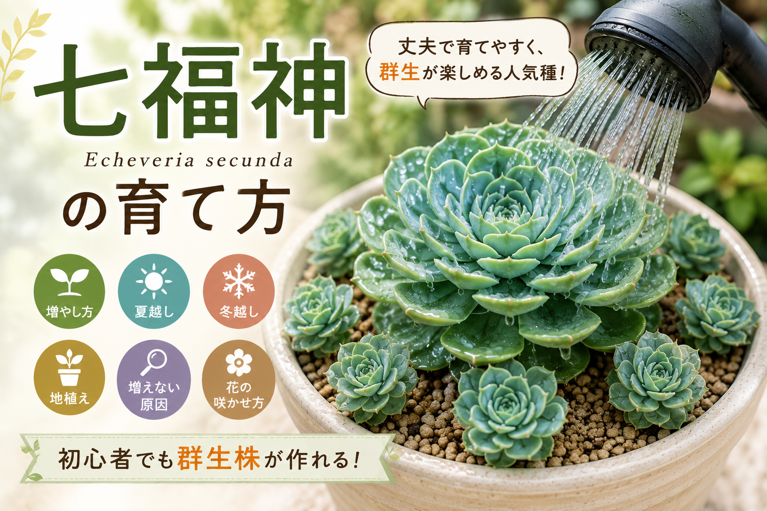 七福神　育て方