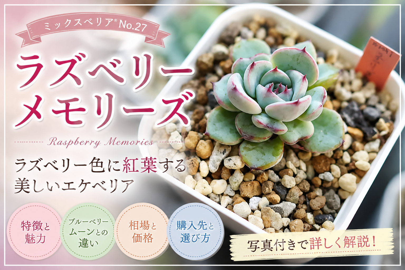 ラズベリーメモリーズ